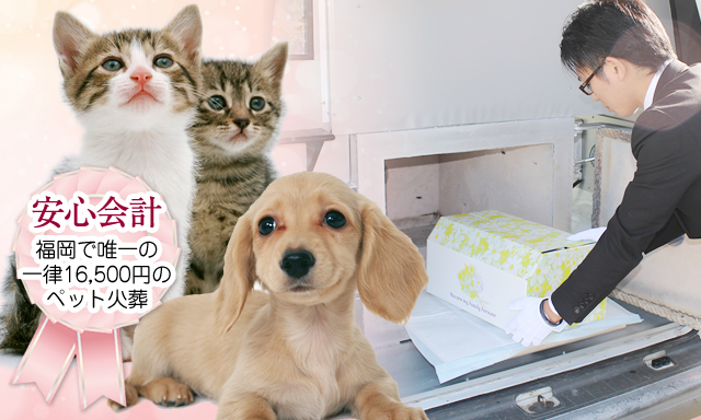 太宰府市のペット火葬