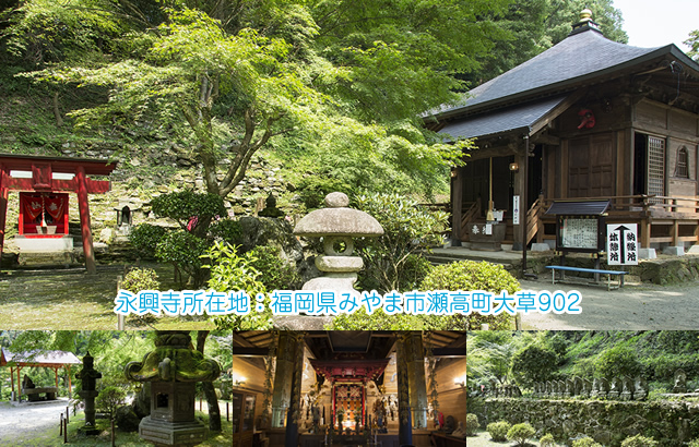 納骨先の永興寺の写真