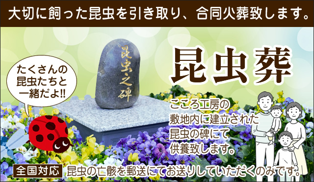 昆虫の埋葬供養のご案内