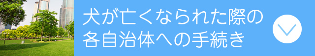 犬が亡くなられた際の自治体・保険の手続き