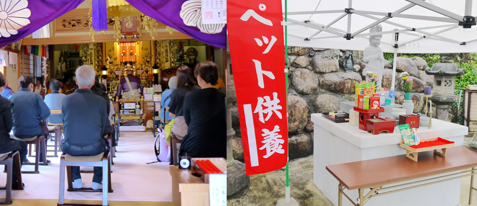ペット供養祭の風景