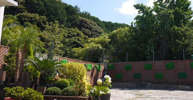 ペットの火葬風景