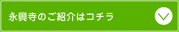 永興寺のご紹介