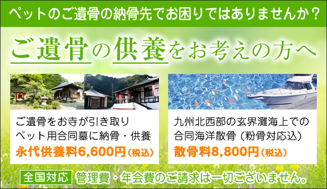 送骨～納骨のご案内