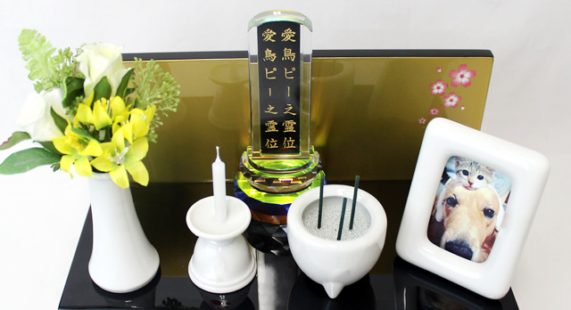 ペットの海洋散骨