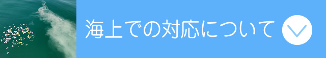 海上での対応について