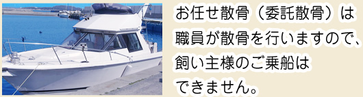 合同海洋散骨になります。