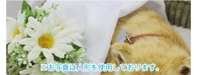 ご遺体の安置方法