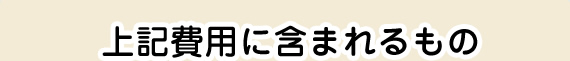 上記費用に含まれるもの