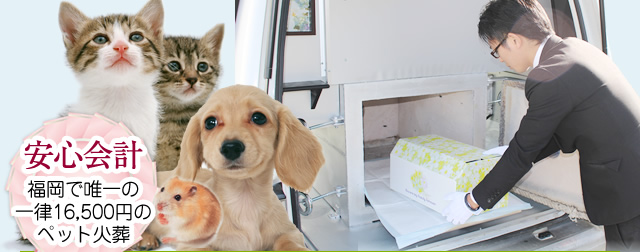 各種火葬プランをご用意